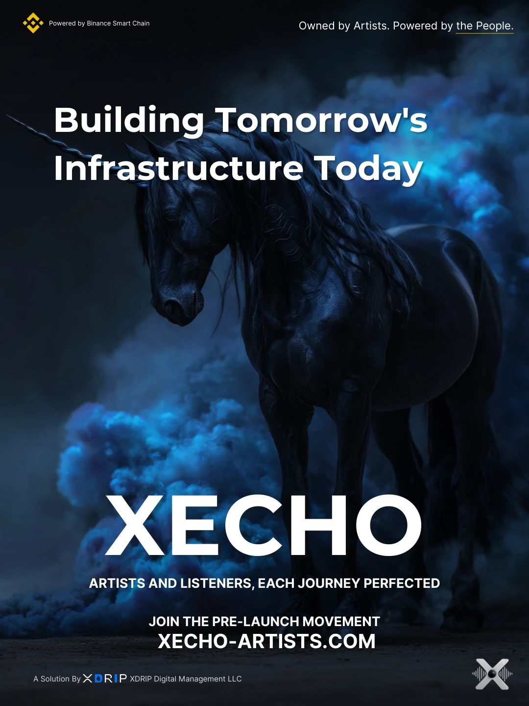 xecho xdrip graphic 164
