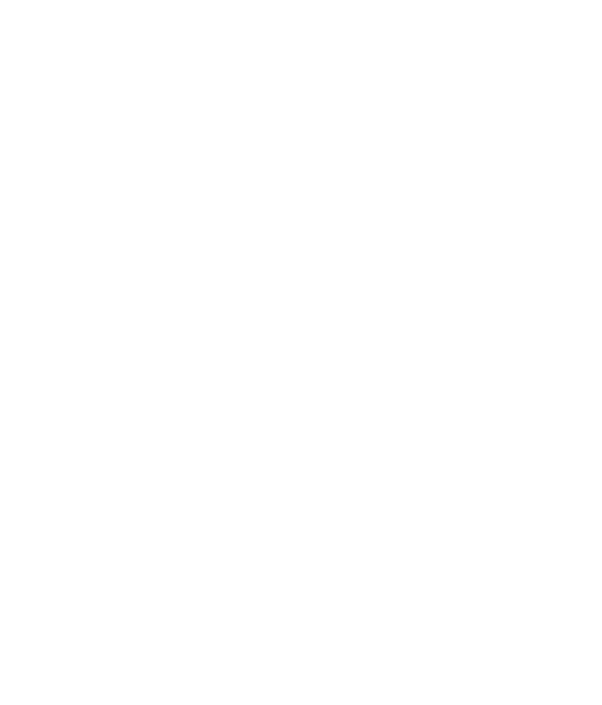 Nyxor 1